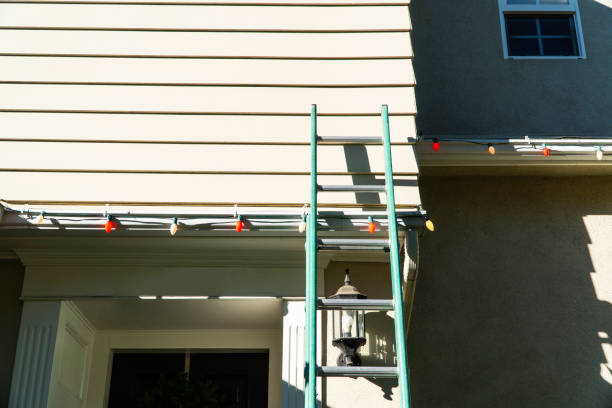 Best Siding Painting and Refinishing  in Atkins, VA